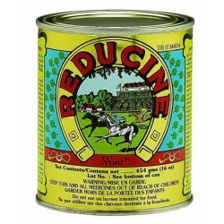 Farnam Reducine Absorbent 450g