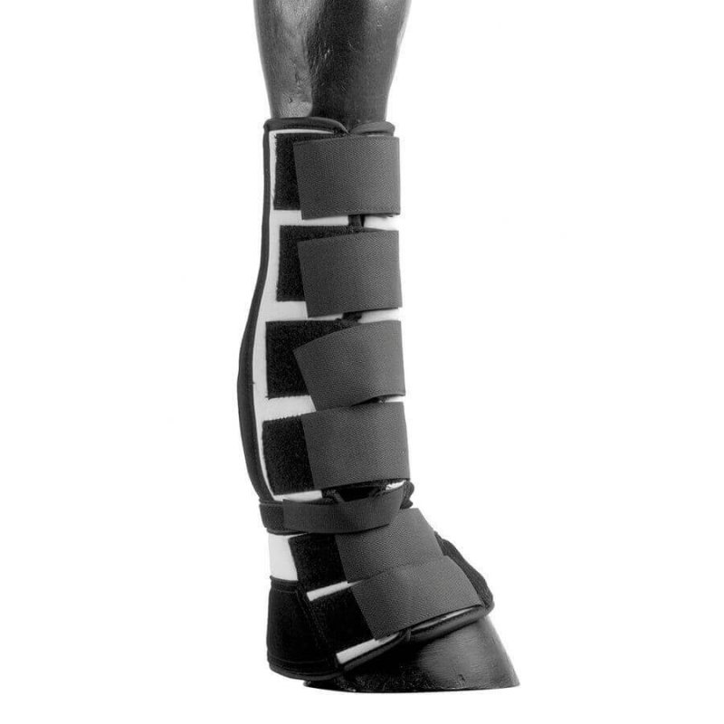 Pool's Equitazione Combination Boots  in neoprene