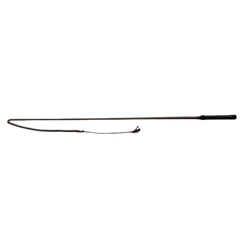 Tattini Frusta Da Carrozza