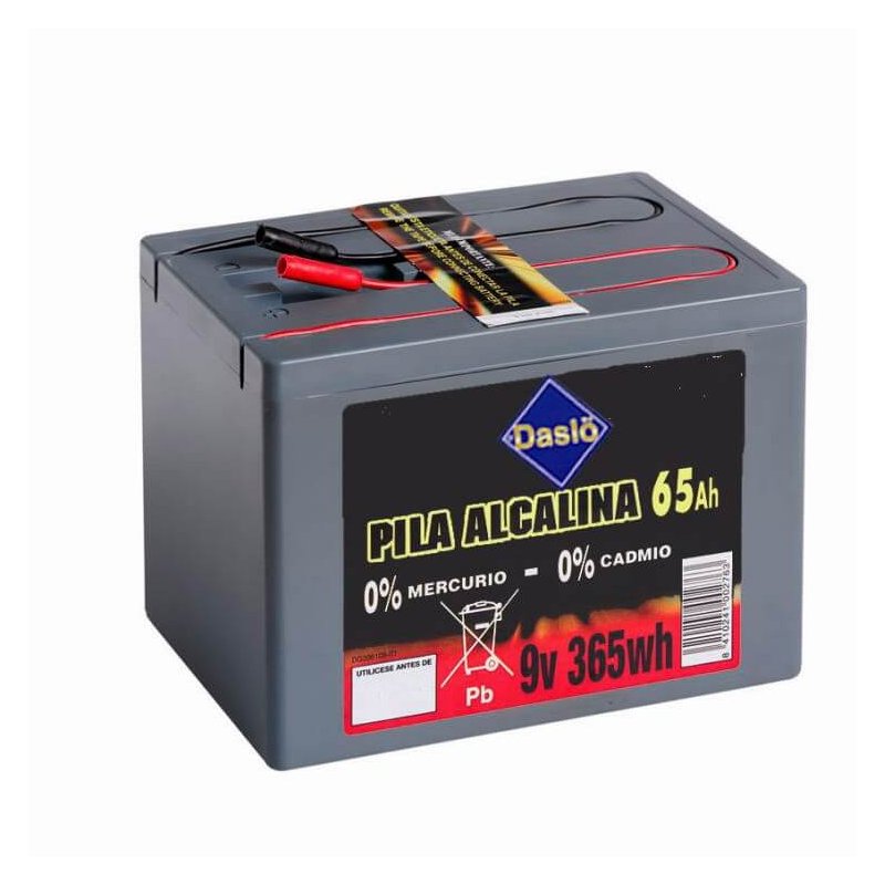 Daslö Batteria Alcalina 365wh