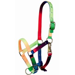 Tattini Capezza Multicolor da Puledro