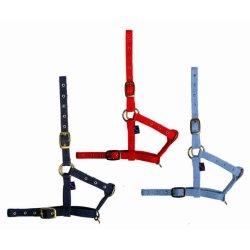 Tattini Capezza in nylon da Puledro