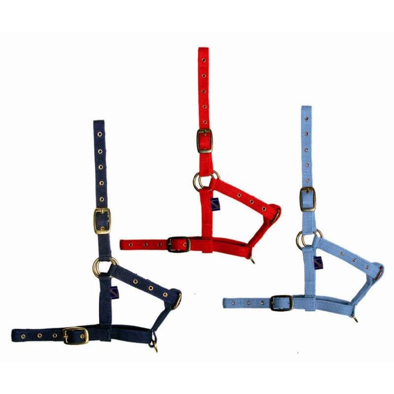 Tattini Capezza in nylon da Puledro