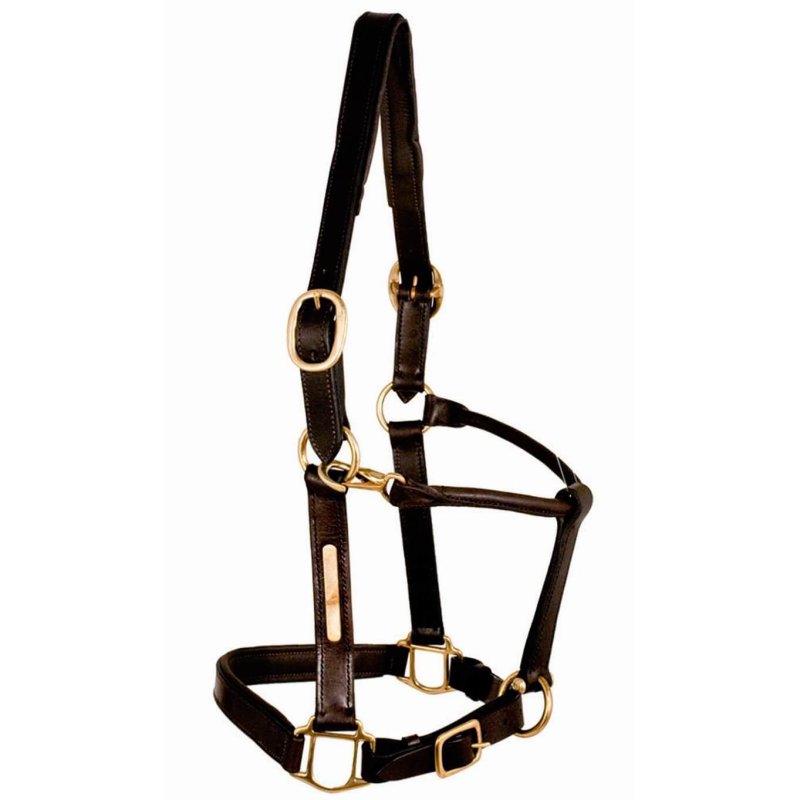 Tattini Capezza in cuoio con imbottitura in pelle.