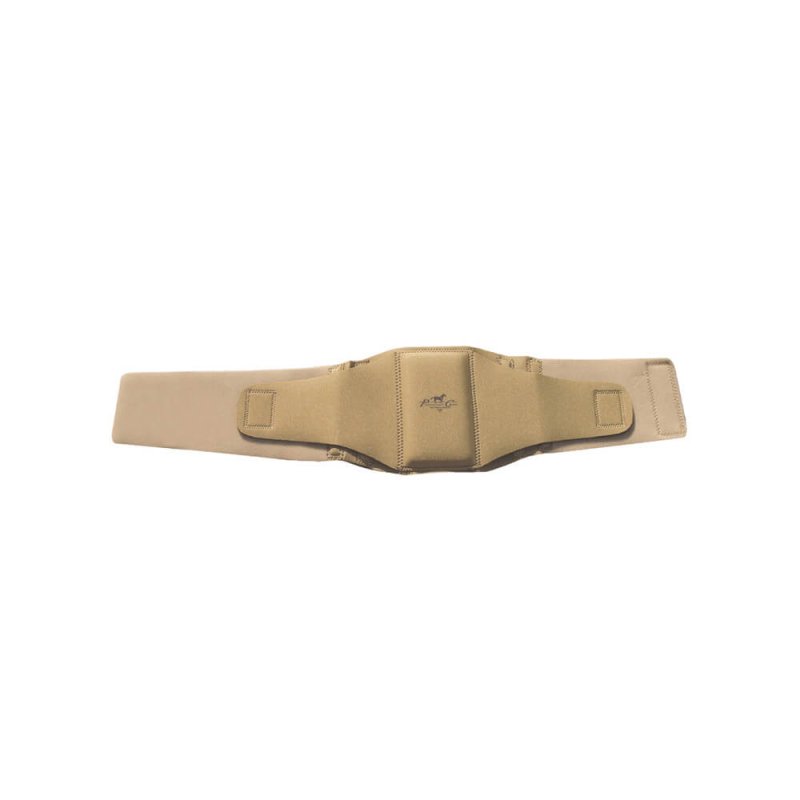 Professional's Choice  Low Back Support