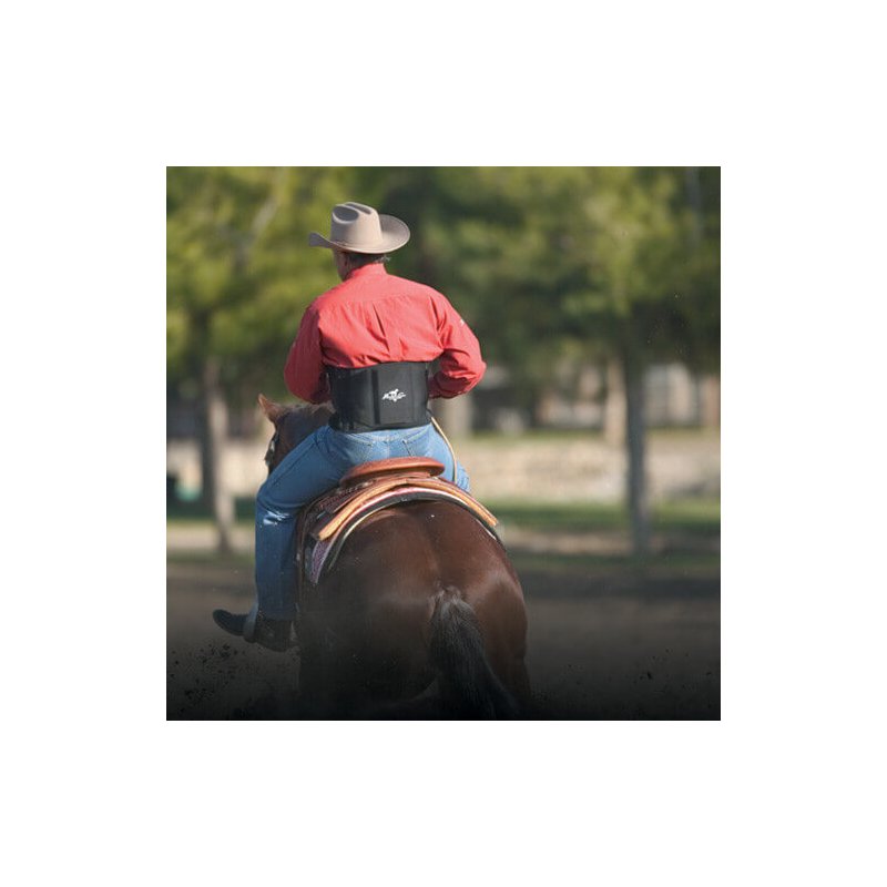 Professional's Choice  Low Back Support