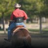 Professional's Choice  Low Back Support