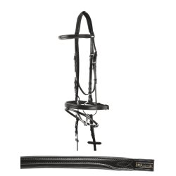 Equestro Briglia mod. Padded