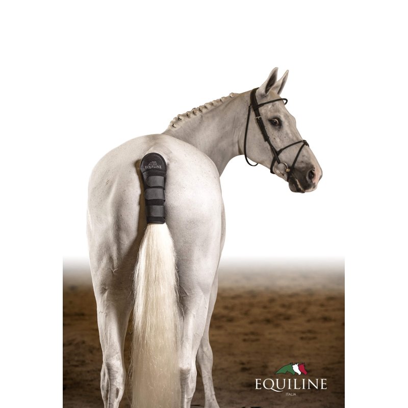 Equiline Paracoda