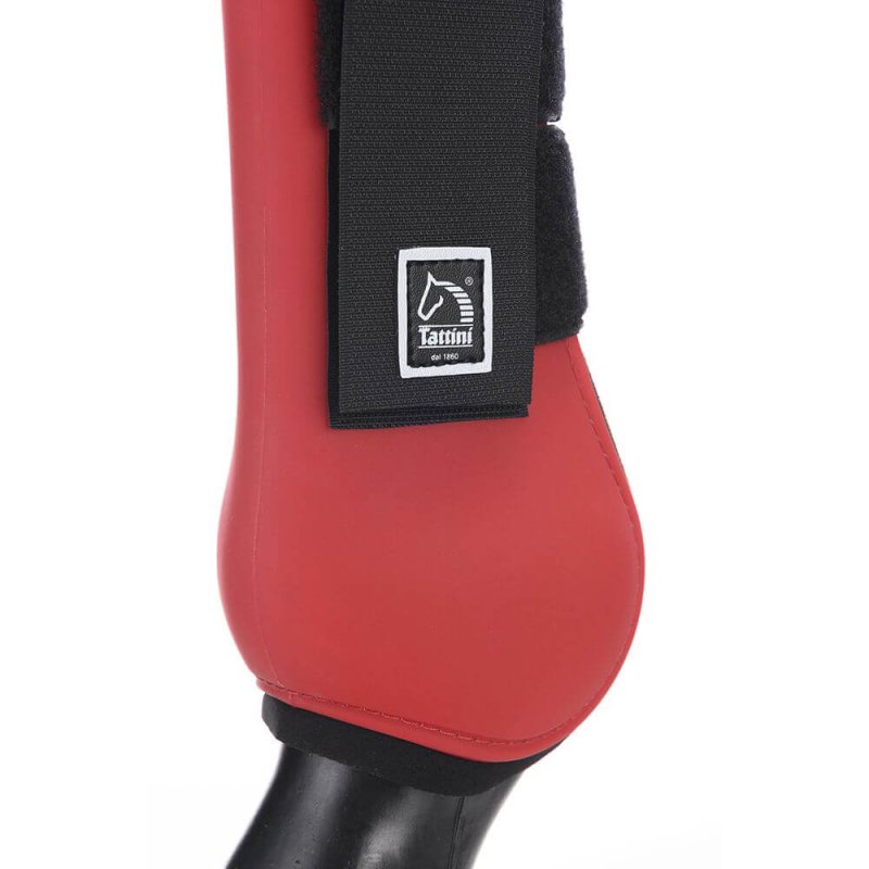 Tattini Paratendini Colorati - EquiSportMania