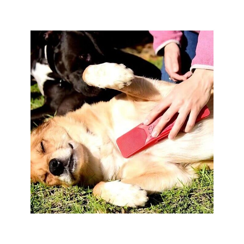 Gentle Groomer Sensitive striglia multifunzione
