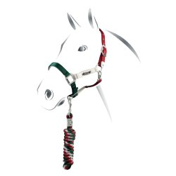 Equestro Cavezzina mod. Flaggy + lunghina