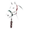 Equestro Cavezzina mod. Flaggy + lunghina