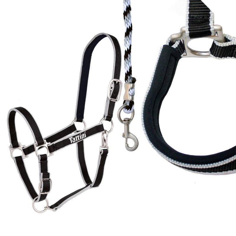 Tattini Capezza in doppio nylon e neoprene