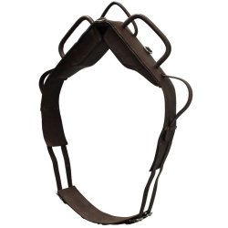 Sartore Fascione da volteggio - EquiSportMania