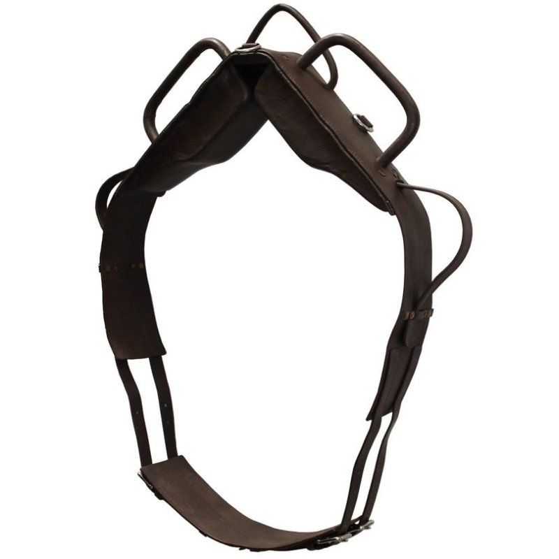 Sartore Fascione da volteggio - EquiSportMania