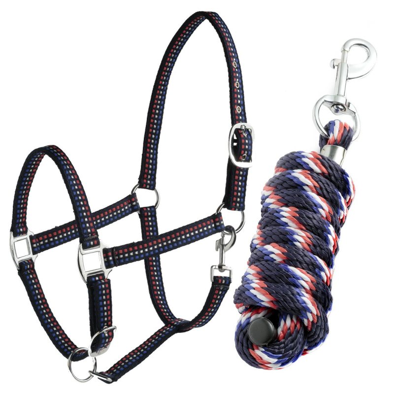 DaslÖ set Capezza + longhina - EquiSportMania
