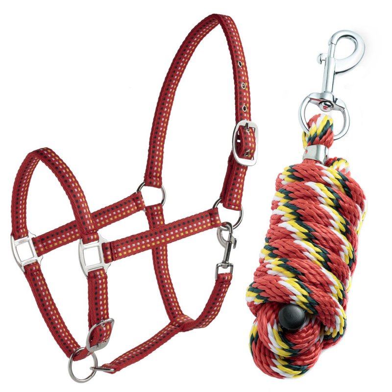 DaslÖ set Capezza + longhina - EquiSportMania