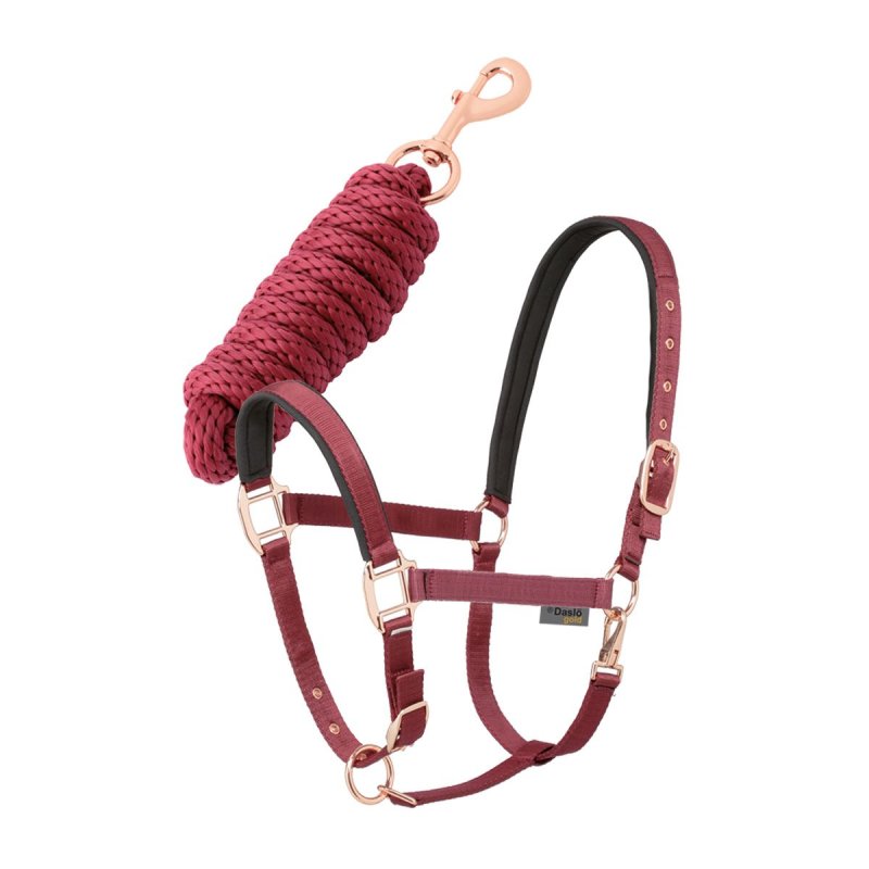 Daslo Gold Set Capezza e longhina
