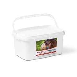 NBF Lanes Resurgen Horse integratore per cavalli