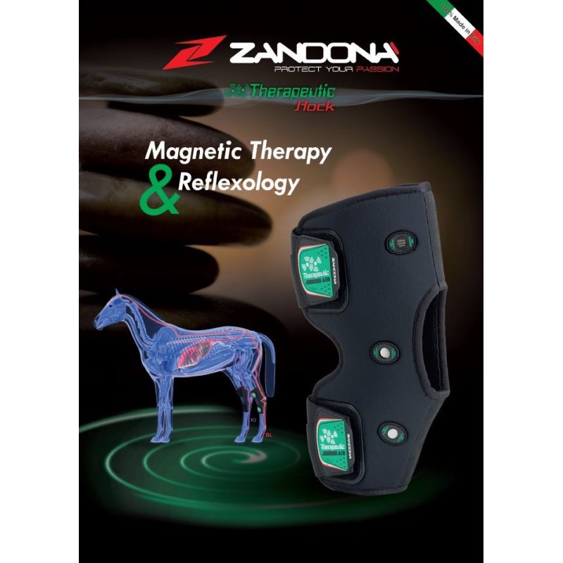 Zandonà Therapeutic Air Hock