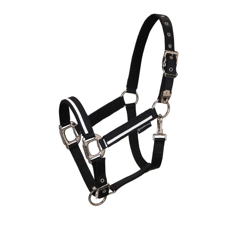 Equestro Cavezza White Trim con imbottitura
