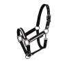 Equestro Cavezza White Trim con imbottitura