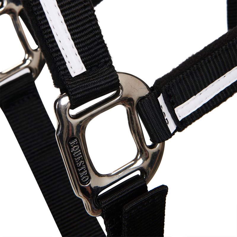 Equestro Cavezza White Trim con imbottitura
