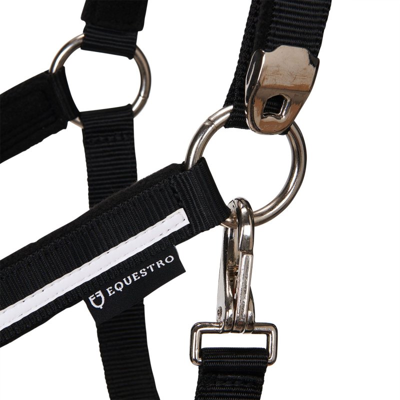 Equestro Cavezza White Trim con imbottitura