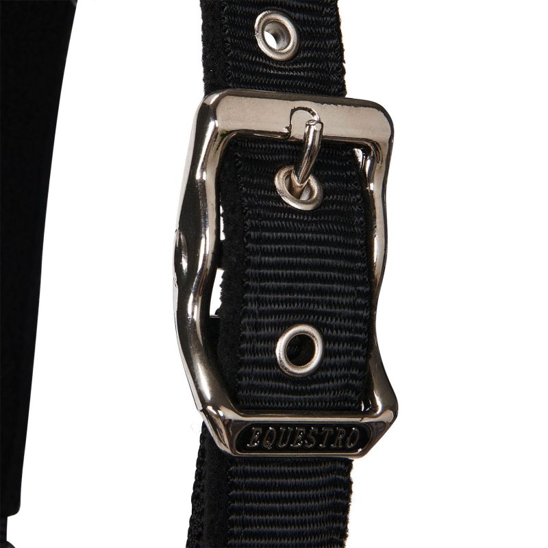 Equestro Cavezza White Trim con imbottitura