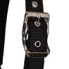 Equestro Cavezza White Trim con imbottitura