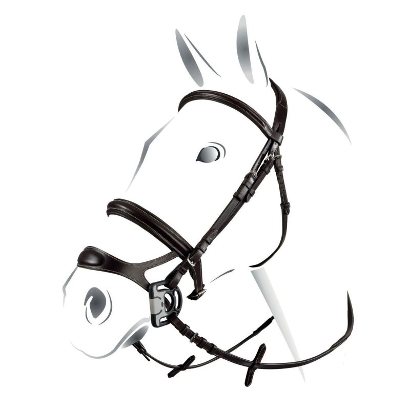 Equestro Testiera Combined