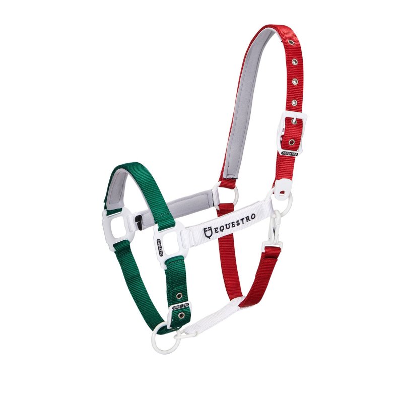 Equestro Cavezzina mod. Flaggy + lunghina