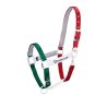 Equestro Cavezzina mod. Flaggy + lunghina