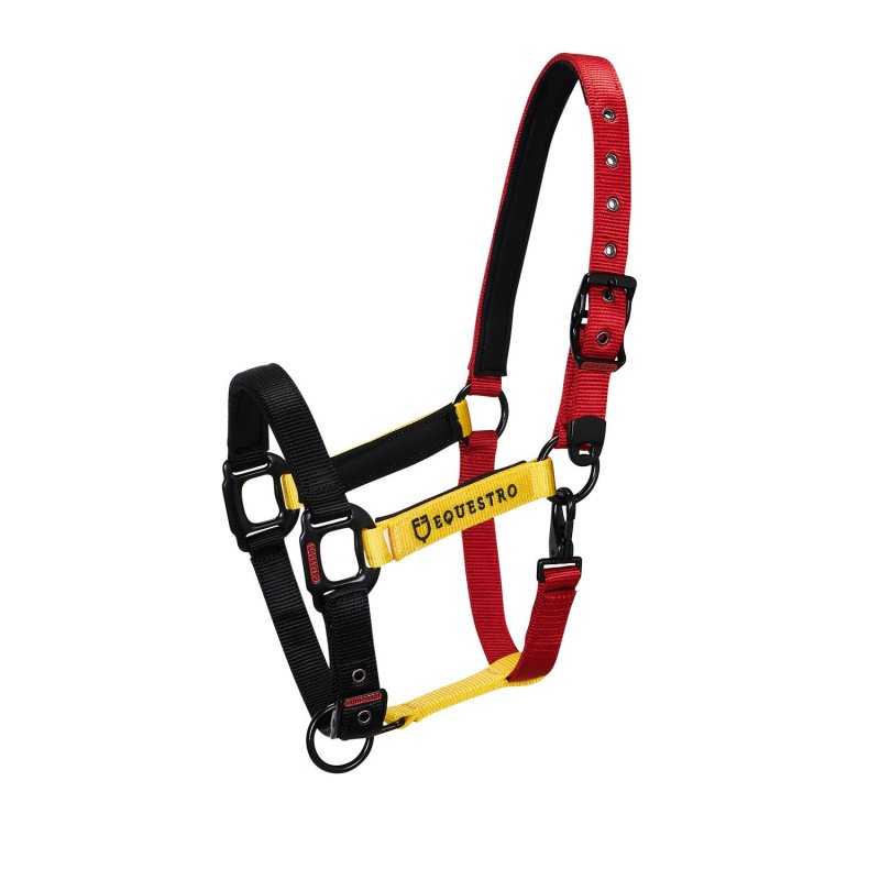 Equestro Cavezzina mod. Flaggy + lunghina