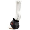 Zandonà Paraglomi Carbon Air Heel