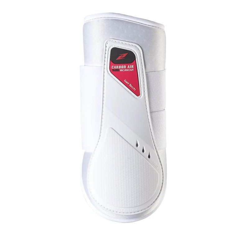 Zandonà Paratendini Carbon Air Workout Rear