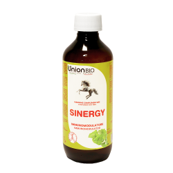 Union Bio Sinergy mangime complementare multivitaminico cavallo