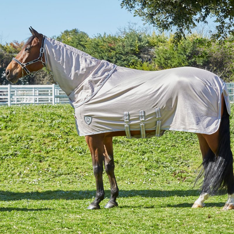 Tattini Coperta In Rete con collo staccabile - EquiSportMania