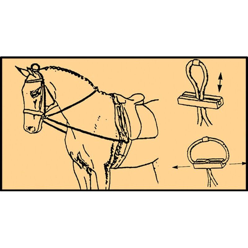 Redini elastiche Tattini da addestramento