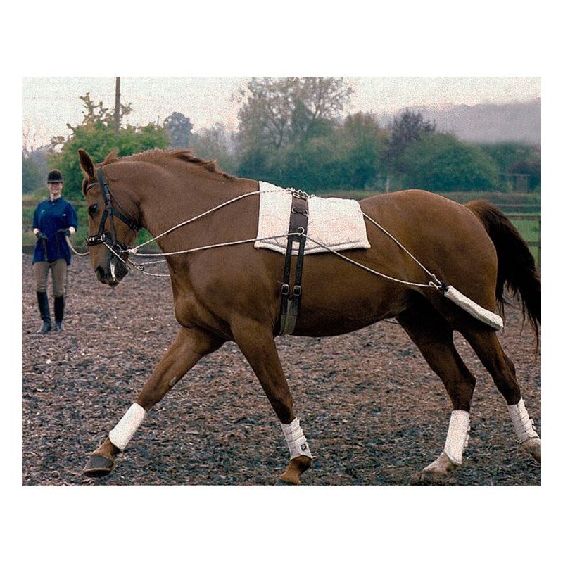 Redini da Addestramento Tattini