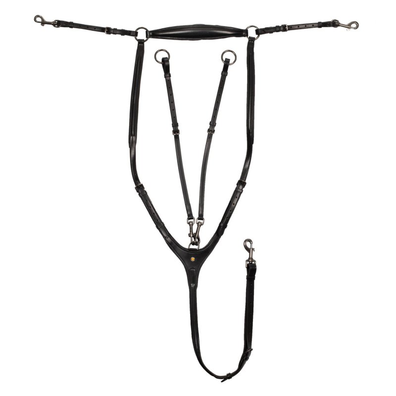Equestro Pettorale con martingala Nero Cob
