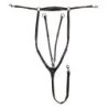 Equestro Pettorale con martingala Nero Cob