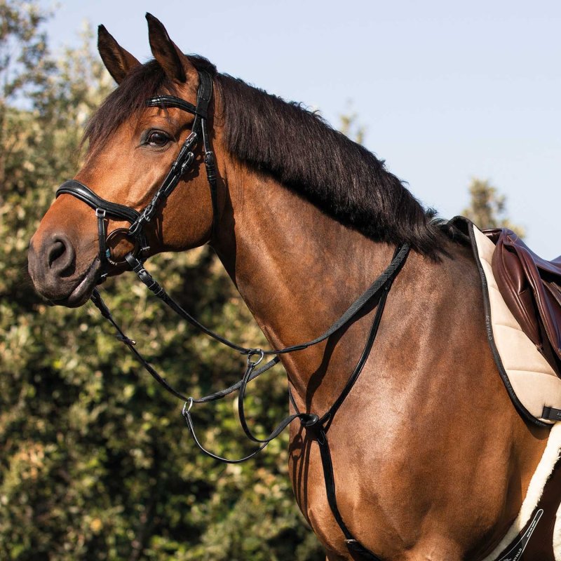 Acavallo Martingala pelle con collare - Nero