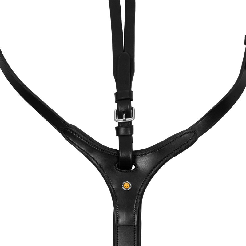 Equestro Martingala con fibbie in acciaio - Nero