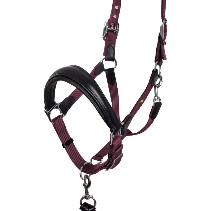 Equestro Cavezza ergonomica con inserti in cuoio - Nero/Bordeaux