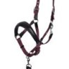 Equestro Cavezza ergonomica con inserti in cuoio - Nero/Bordeaux