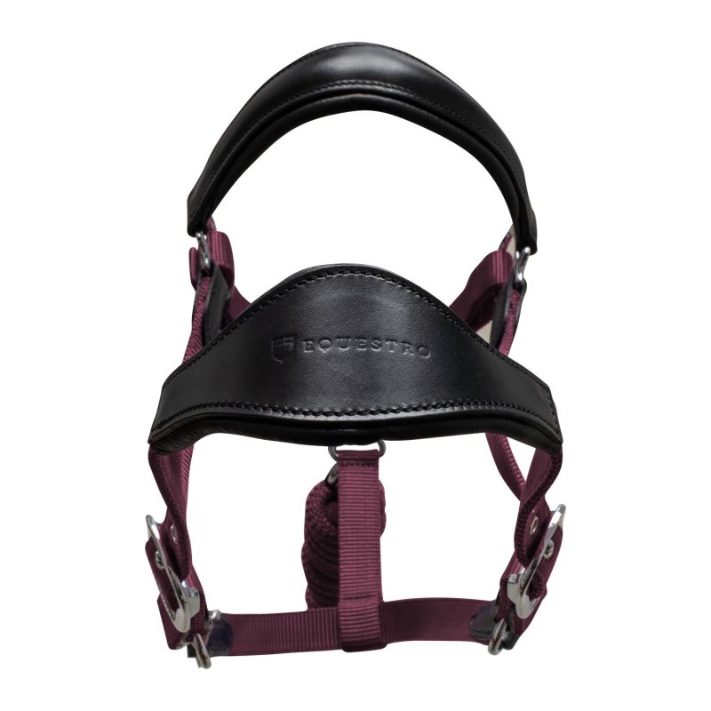 Equestro Cavezza ergonomica con inserti in cuoio - Nero/Bordeaux