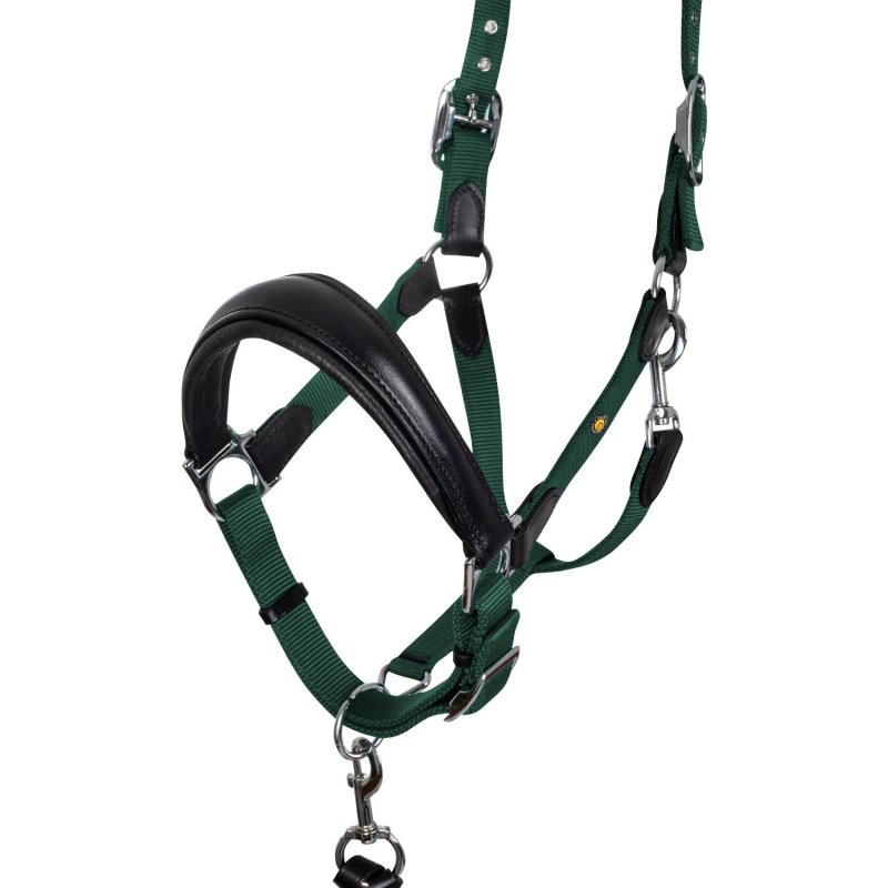 Equestro Cavezza ergonomica con inserti in cuoio - Nero/Verde scuro