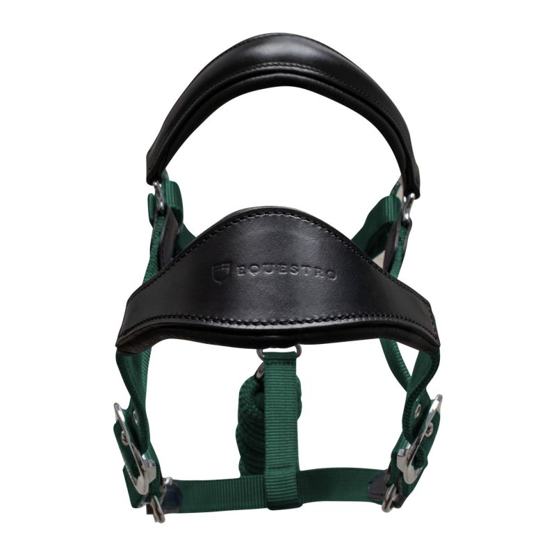 Equestro Cavezza ergonomica con inserti in cuoio - Nero/Verde scuro